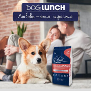 DogLunch Premium корм сухой для собак средних и крупных пород, с лососем
