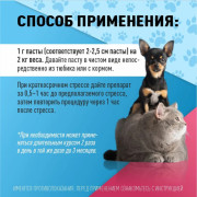 Relaxivet Паста успокоительная для кошек и собак