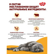 MultiЛакомки лакомство Активный питомец для кошек