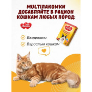 MultiЛакомки лакомство Активный питомец для кошек