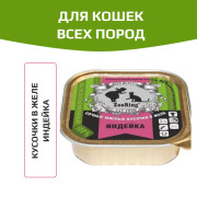ZooRing корм консервированный для кошек кусочки в желе Индейка