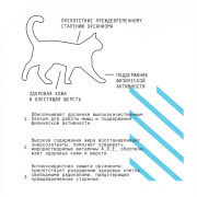 AJO Cat Аctive корм сухой для взрослых кошек