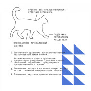 AJO Cat Grand Master корм сухой для кошек старшего возраста