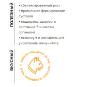 ELATO Holistic Kitten Chicken & Duck корм сухой для котят курица и утка