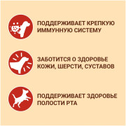 Purina ONE корм сухой для взрослых собак средних и крупных пород, с высоким содержанием ягненка и с рисом