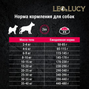 LEO&LUCY Holistic сухой корм полнорационный для взрослых собак всех пород с индейкой, ягодами и биодобавками