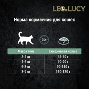 LEO&LUCY Holistic сухой полнорационный корм для стерилизованных и пожилых кошек с индейкой, ягодами и биодобавками