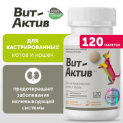 Вит-Актив Для кастрированных котов и кошек биологически активная кормовая добавка, 120 таб