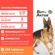 Вит-Актив Формула здоровья собак биологически активная кормовая добавка, 120 таб