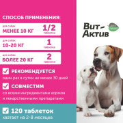 Вит-Актив для беременных и кормящих собак биологически активная кормовая добавка, 120 таб