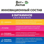 Вит-Актив для кошек старше 7 лет биологически активная кормовая добавка, 120 таб