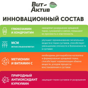 Вит-Актив Хондро для собак и кошек, щенков и котят биологически активная кормовая добавка, 90 таб