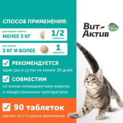 Вит-Актив Хондро для собак и кошек, щенков и котят биологически активная кормовая добавка, 90 таб