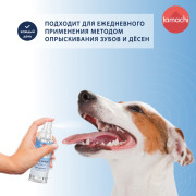 Tamachi Renewal Formula Спрей для полости рта у собак и кошек, 125 мл