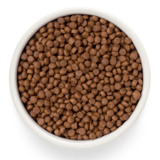 Premier Cat Salmon&Turkey ADULT Свежее филе лосося с индейкой для взрослых кошек с нормальной активностью, чувствительной кожей и шерстью или склонных к аллергии
