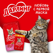 Дарлинг консервы для взрослых кошек курица в подливе