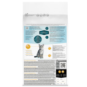 Pro Plan ActiProtect сухой корм для котят с высоким содержанием индейки
