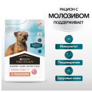 Pro Plan ActiProtect сухой корм для взрослых собак мелких и карликовых пород с чувствительной кожей, с высоким содержанием лосося
