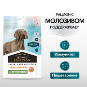 Pro Plan ActiProtect сухой корм для взрослых собак с чувствительным пищеварением, с высоким содержанием ягненка