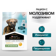 Pro Plan ActiProtect сухой корм для щенков мелких и карликовых пород с чувствительным пищеварением, с высоким содержанием ягненка