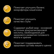 Pro Plan ActiProtect сухой корм для щенков мелких и карликовых пород с чувствительным пищеварением, с высоким содержанием ягненка