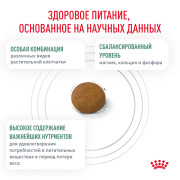 Royal Canin Satiety Weight Management small dogs корм сухой полнорационный диетический для взрослых собак мелких пород для снижения веса