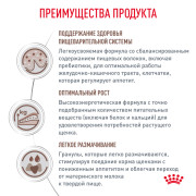 Royal Canin Gastrointestinal Puppy корм ​​сухой для щенков, рекомендуемый при расстройствах пищеварения, в период восстановления и истощения.