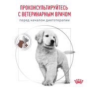 Royal Canin Gastrointestinal Puppy корм ​​сухой для щенков, рекомендуемый при расстройствах пищеварения, в период восстановления и истощения.