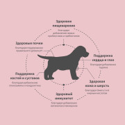 Grandorf FRESH DOG Lamb PUPPY ALL BREEDS корм сухой для щенков беременных или кормящих собак, ягненок с бататом