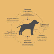 Grandorf FRESH DOG Lamb JUNIOR MEDIUM&MAXI корм сухой для юниоров беременных или кормящих собак, ягненок с бататом