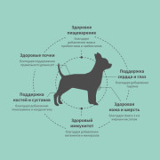 Grandorf FRESH DOG Lamb MINI корм сухой для взрослых собак мелких пород, чувствительное пищеварение или склонность к аллергии, ягненок с бататом