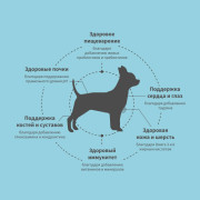 Grandorf FRESH DOG Turkey MINI корм сухой для взрослых собак мелких пород, диетическая формула для особо аллергичных собак, индейка с бататом
