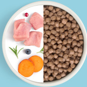 Grandorf FRESH DOG Turkey MINI корм сухой для взрослых собак мелких пород, диетическая формула для особо аллергичных собак, индейка с бататом