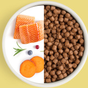 Grandorf FRESH DOG Salmon MINI корм сухой для взрослых собак мелких пород, для здоровья кожи и шерсти или склонных к аллергии, лосось с бататом