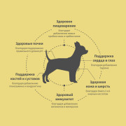 Grandorf FRESH DOG Salmon MINI корм сухой для взрослых собак мелких пород, для здоровья кожи и шерсти или склонных к аллергии, лосось с бататом