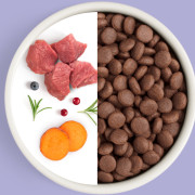 Grandorf FRESH DOG Lamb MED&MAXI корм сухой для взрослых собак средних и крупных пород, чувствительное пищеварение или склонность к аллергии, ягненок с бататом