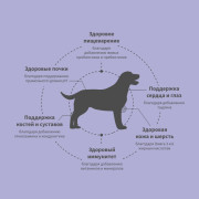 Grandorf FRESH DOG Lamb MED&MAXI корм сухой для взрослых собак средних и крупных пород, чувствительное пищеварение или склонность к аллергии, ягненок с бататом