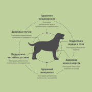 Grandorf FRESH DOG Turkey MED&MAXI корм сухой для взрослых собак средних и крупных пород, диетическая формула для особо аллергичных собак, индейка с бататом