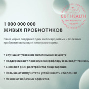 Grandorf FRESH DOG Salmon MED&MAXI корм сухой для взрослых собак средних и крупных пород, для здоровья кожи и шерсти или склонных к аллергии, лосось с бататом