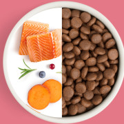 Grandorf FRESH DOG Salmon MED&MAXI корм сухой для взрослых собак средних и крупных пород, для здоровья кожи и шерсти или склонных к аллергии, лосось с бататом