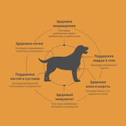 Grandorf FRESH DOG Duck MED&MAXI корм сухой для взрослых собак средних и крупных пород, диетическая формула для особо аллергичных собак, утка с бататом