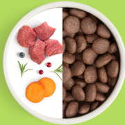 Grandorf FRESH DOG Lamb MAXI корм сухой для взрослых собак крупных пород, чувствительное пищеварение или склонность к аллергии, ягненок с бататом