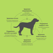 Grandorf FRESH DOG Lamb MAXI корм сухой для взрослых собак крупных пород, чувствительное пищеварение или склонность к аллергии, ягненок с бататом