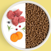 Grandorf FRESH CAT Lamb KITTEN корм сухой для котят, беременных или кормящих кошек, ягненок с бататом