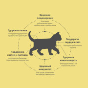 Grandorf FRESH CAT Lamb KITTEN корм сухой для котят, беременных или кормящих кошек, ягненок с бататом