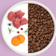 Grandorf FRESH CAT Lamb корм сухой для взрослых кошек, чувствительное пищеварение или склонность к аллергии, ягненок с бататом