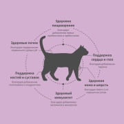 Grandorf FRESH CAT Lamb корм сухой для взрослых кошек, чувствительное пищеварение или склонность к аллергии, ягненок с бататом
