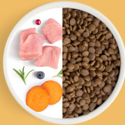 Grandorf FRESH CAT Turkey корм сухой для взрослых кошек, диетическая формула для особо аллергичных кошек, индейка с бататом