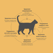 Grandorf FRESH CAT Turkey корм сухой для взрослых кошек, диетическая формула для особо аллергичных кошек, индейка с бататом