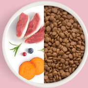 Grandorf FRESH CAT Duck корм сухой для взрослых кошек, диетическая формула для особо аллергичных кошек, утка с бататом
